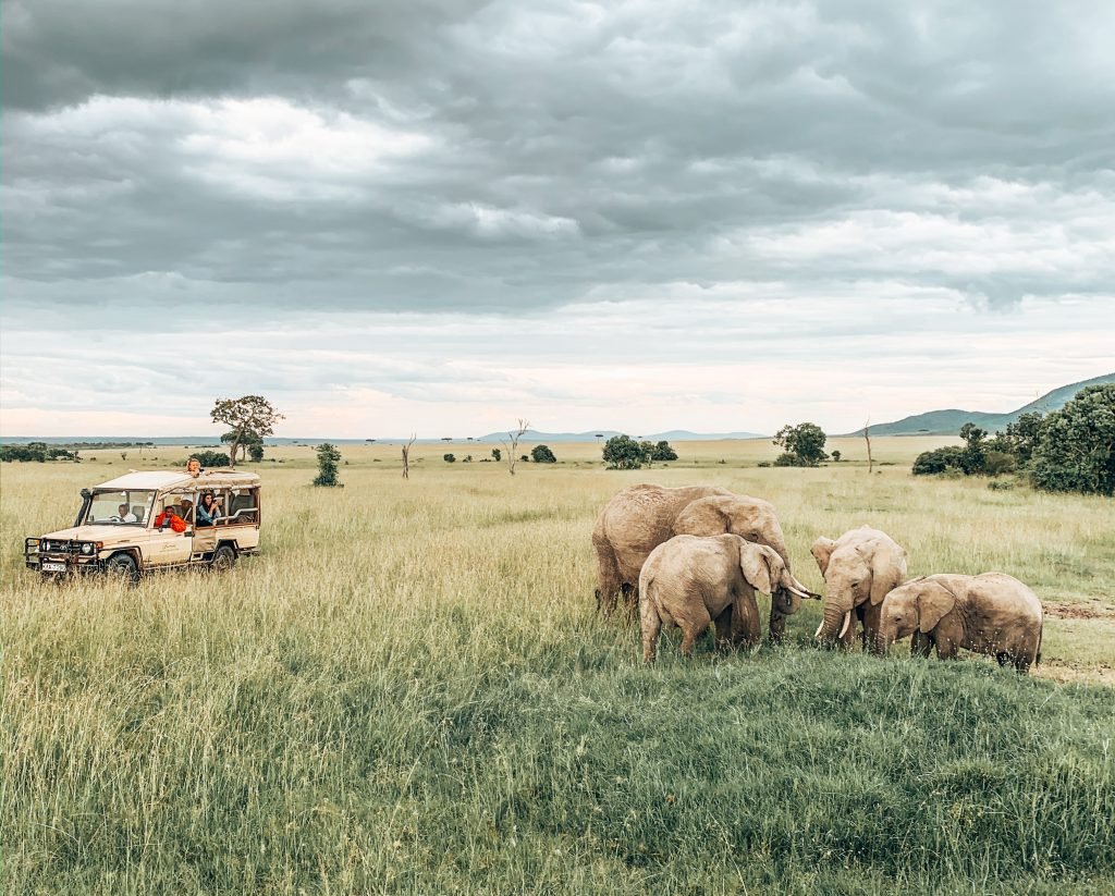 masai mara kenia itinerario