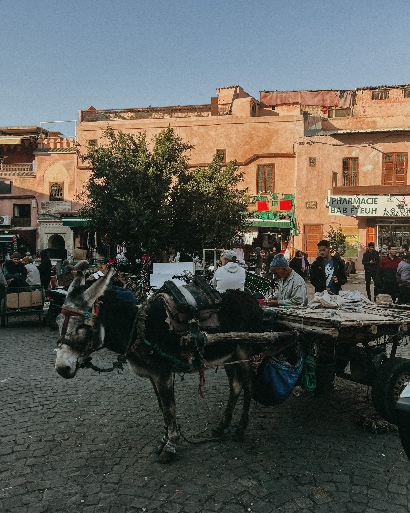 complete guide to marrakech morocco marrakesh travel guide marrakesh